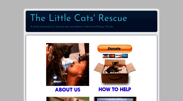 thelittlecatsrescue.blogspot.com