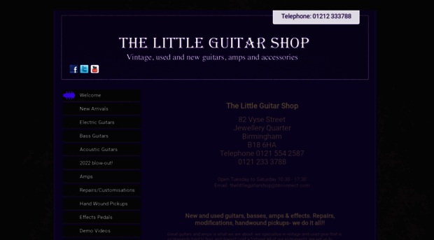 thelittleguitarshop.com