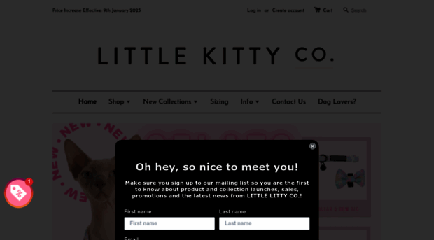 thelittlekittyco.com