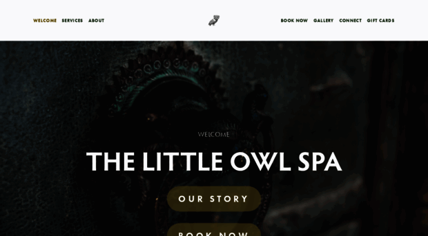 thelittleowlspa.com