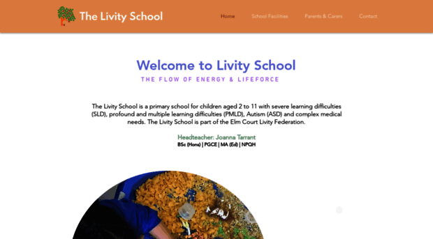 thelivityschool.co.uk