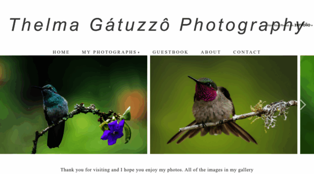 thelmagatuzzo.com