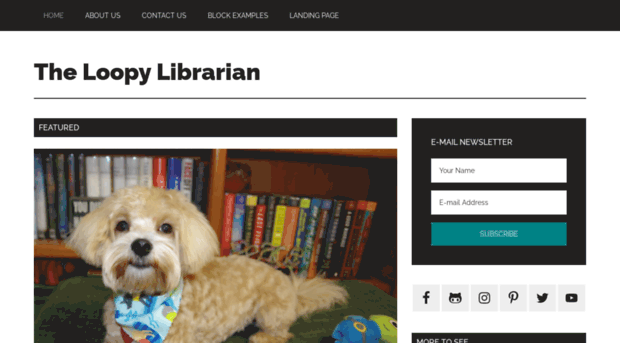 theloopylibrarian.com