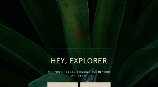 thelostexplorer.co