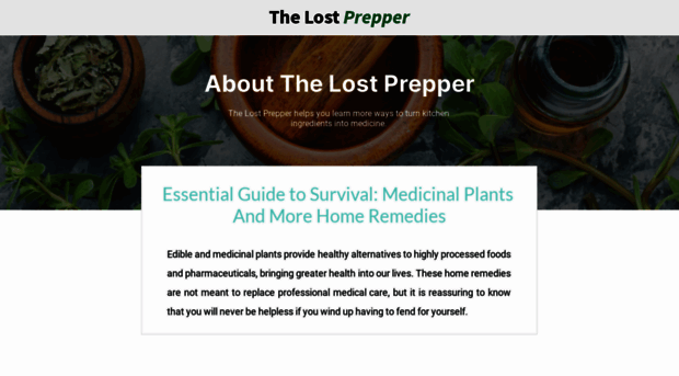 thelostprepper.com