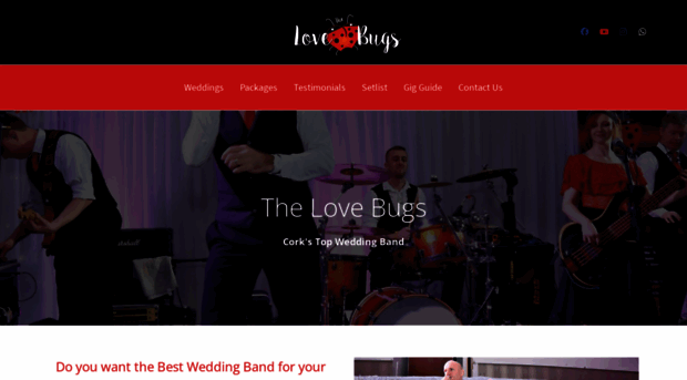 thelovebugsband.com