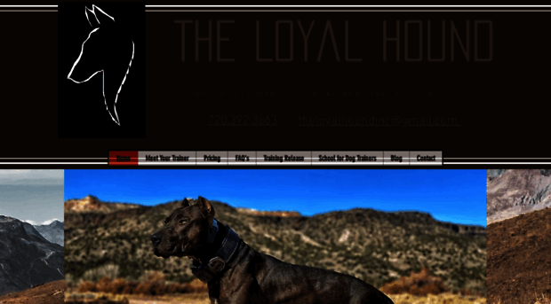 theloyalhoundcolorado.com