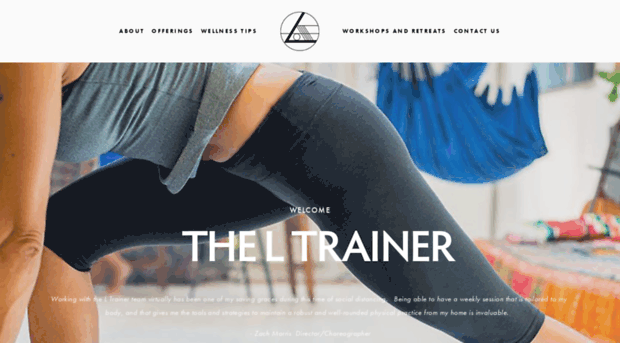 theltrainer.com