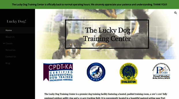 theluckydogtraining.com