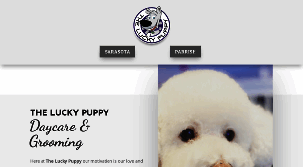 theluckypuppyfl.com