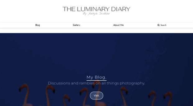 theluminarydiary.com