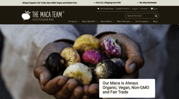 themacateam.com