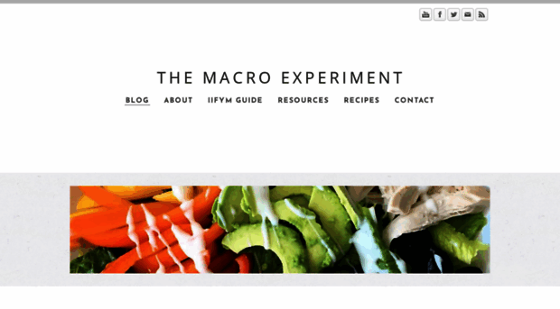 themacroexperiment.com