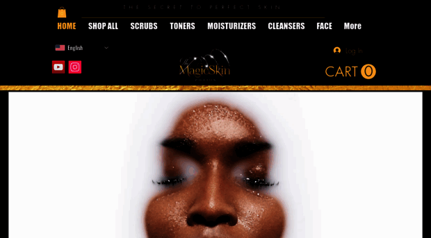 themagicskinpotion.com