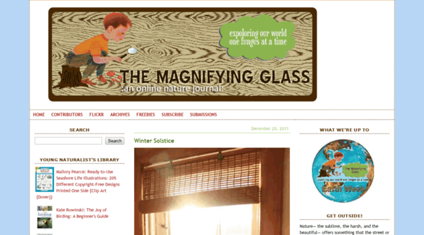 themagnifyingglass.typepad.com