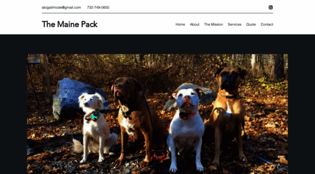 themainepack.com