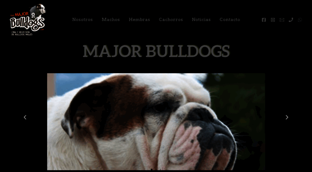 themajorbulldogs.com