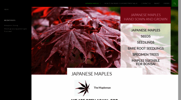 themapleman.co.uk