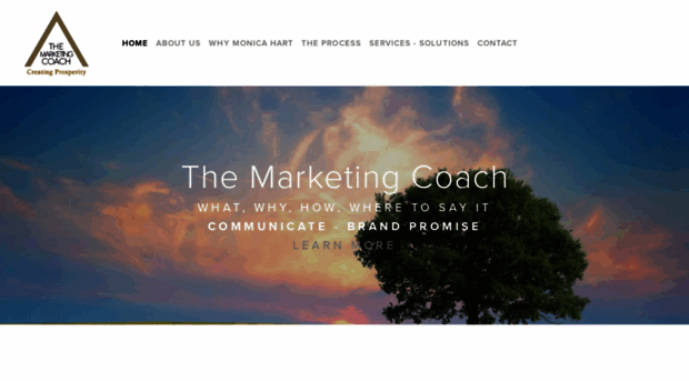 themarketingcoach.us