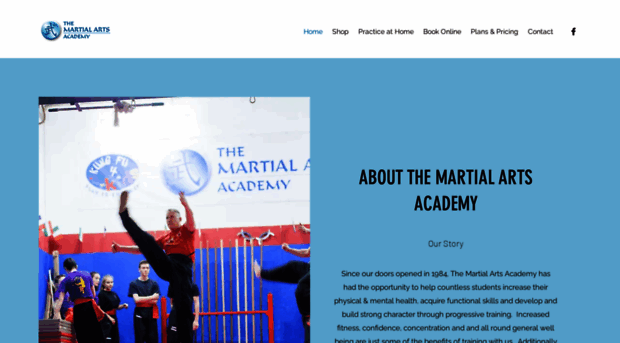 themartialartsacademy.com