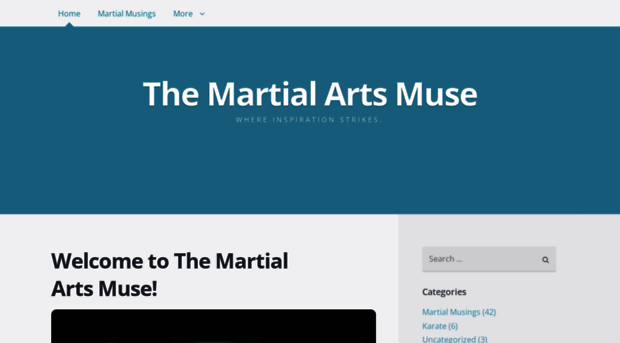 themartialartsmuse.com