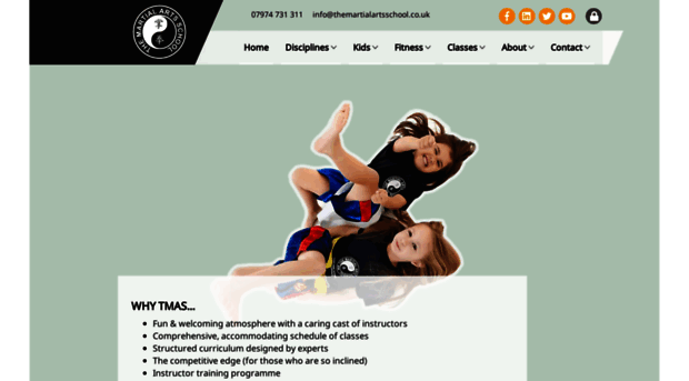 themartialartsschool.co.uk