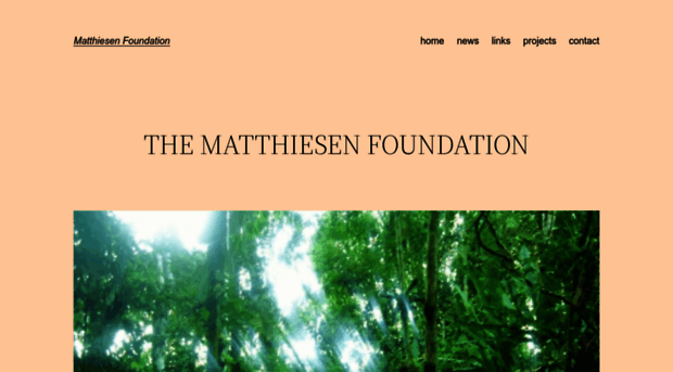 thematthiesenfoundation.org