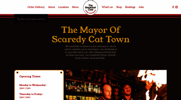 themayorofscaredycattown.com