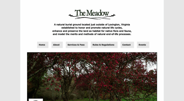 themeadowlexingtonva.com