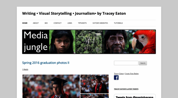 themediajungle.wordpress.com