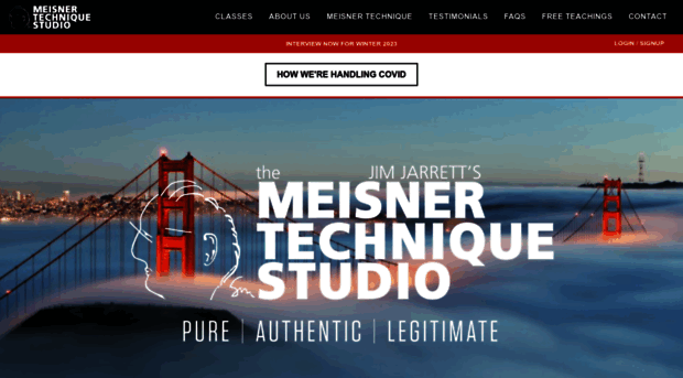 themeisnertechniquestudio.com