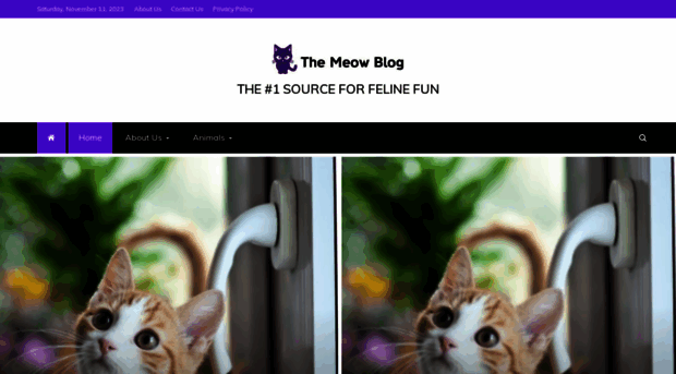 themeowblog.com