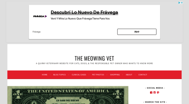 themeowingvet.com