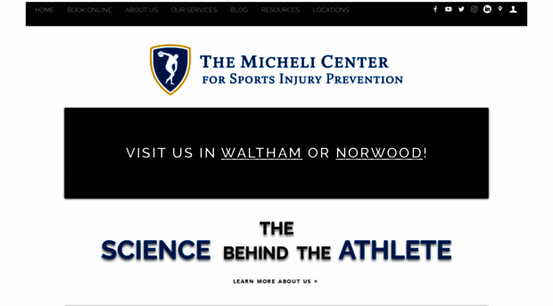 themichelicenter.com