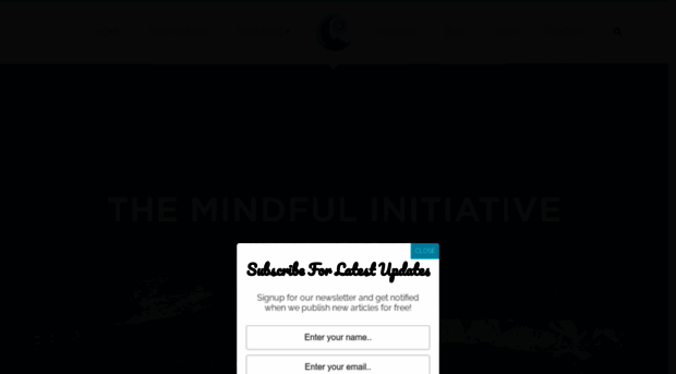 themindfulinitiative.com