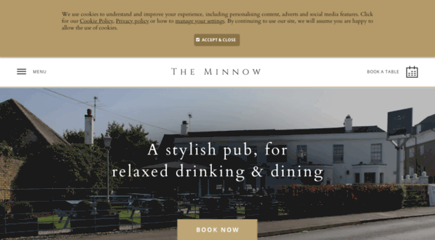 theminnow.co.uk