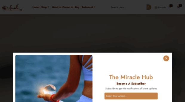 themiraclehub.in