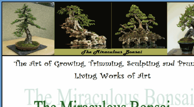 themiraculousbonsai.com