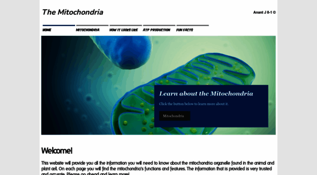 themitochondria.weebly.com