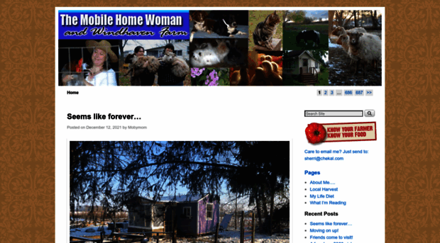 themobilehomewoman.com