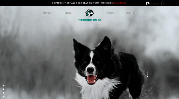 themoderndognj.com