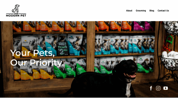 themodernpetstore.com