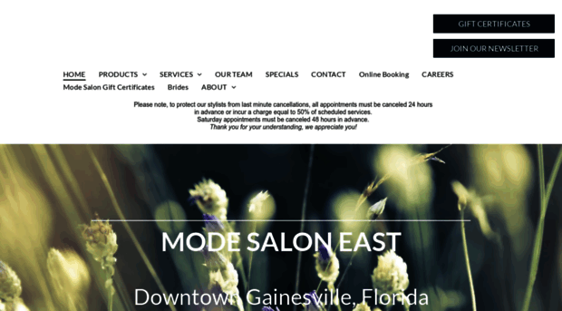 themodesalon.com