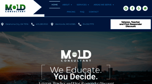 themoldconsultant.com