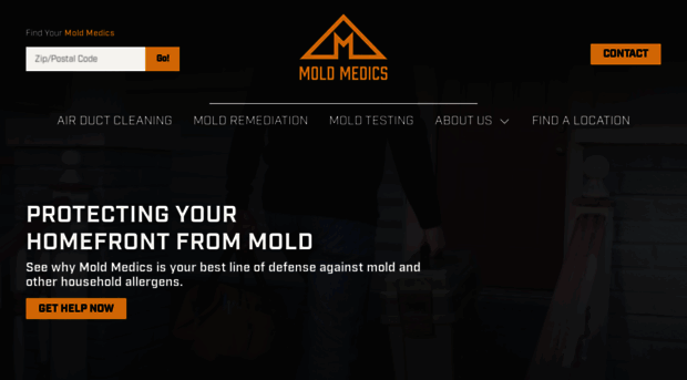 themoldmedic.com