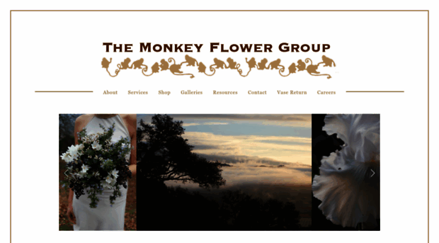 themonkeyflowergroup.com