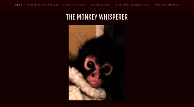 themonkeywhisperer.com