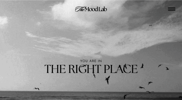 themoodlab.co