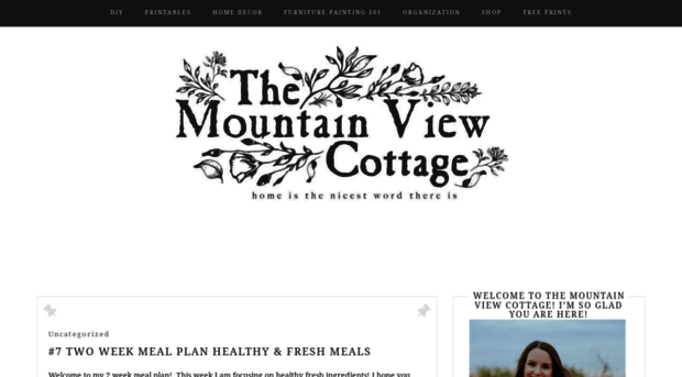themountainviewcottage.net