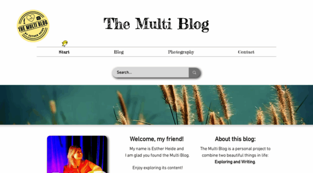 themultiblog.com